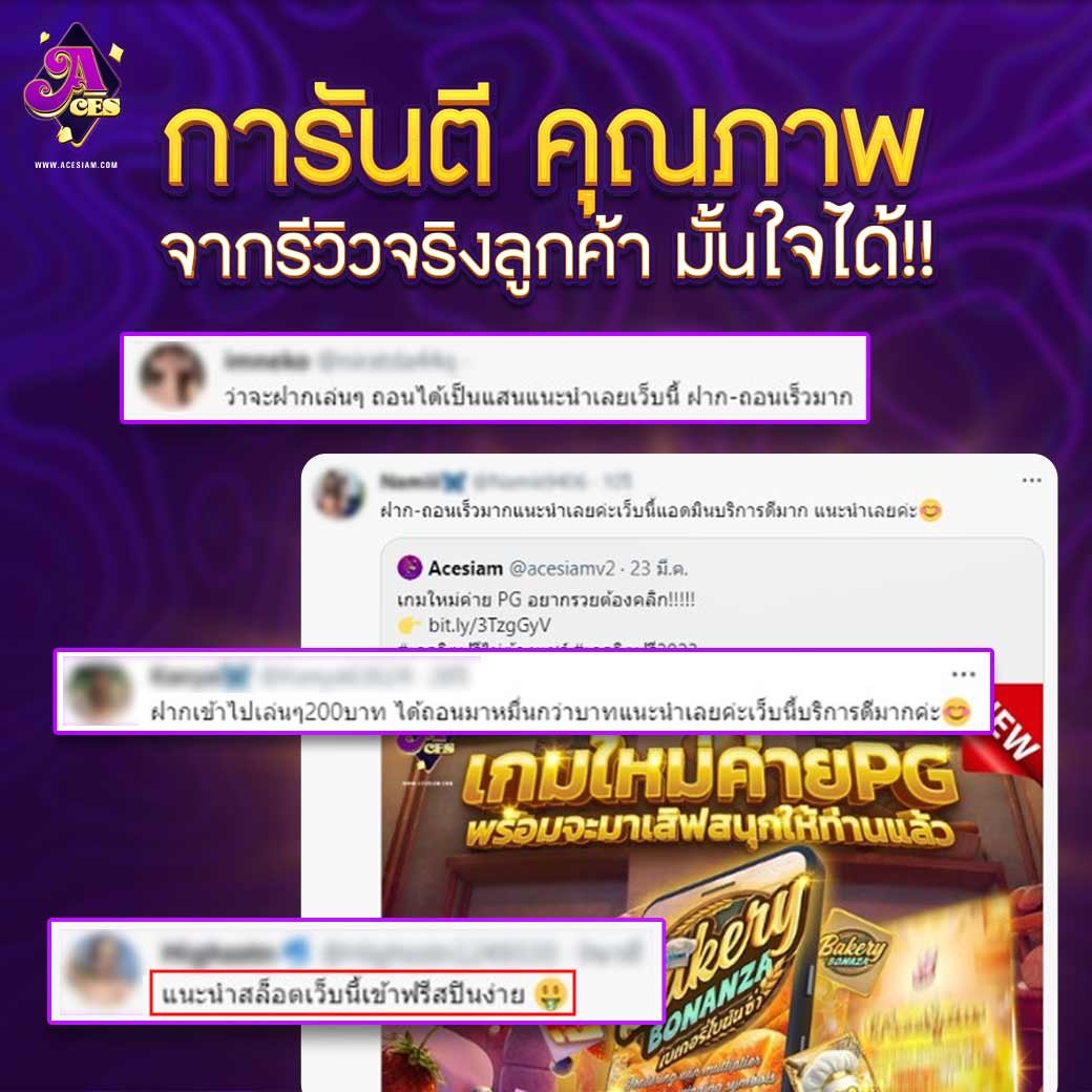 รีวิวเว็บ ACESIAM