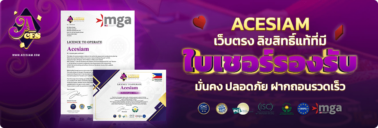 รีวิวเว็บ ACESIAM